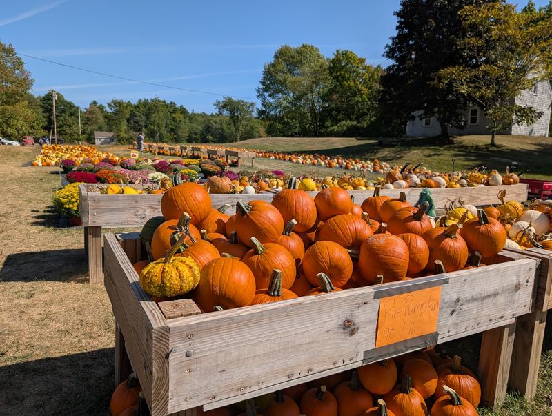 Rocky Ridge Orchard