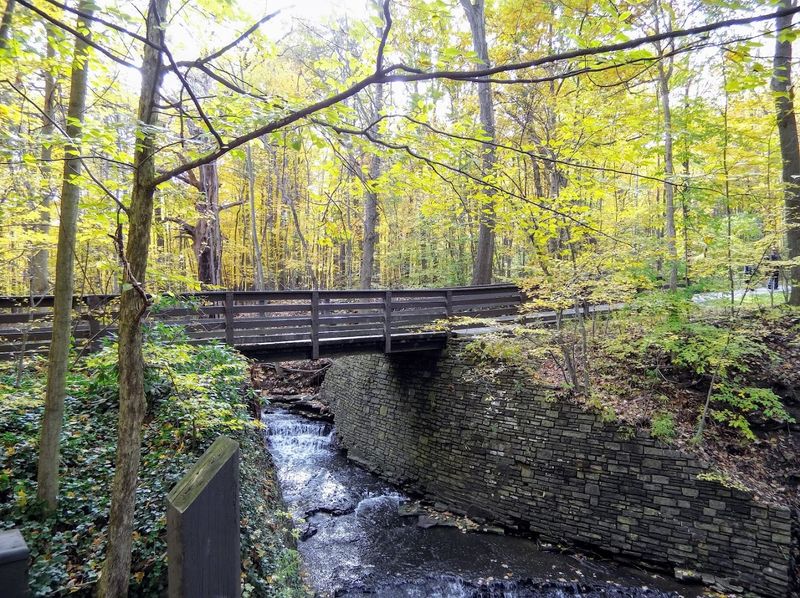 North Chagrin Nature Center, Mayfield Village, Ohio