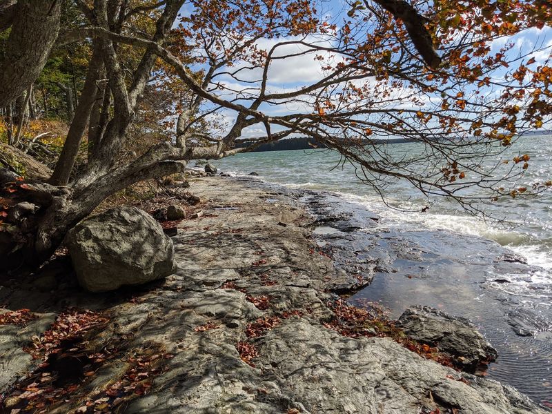 Rocky Shores And Mossy Woods Make A Perfect Walk