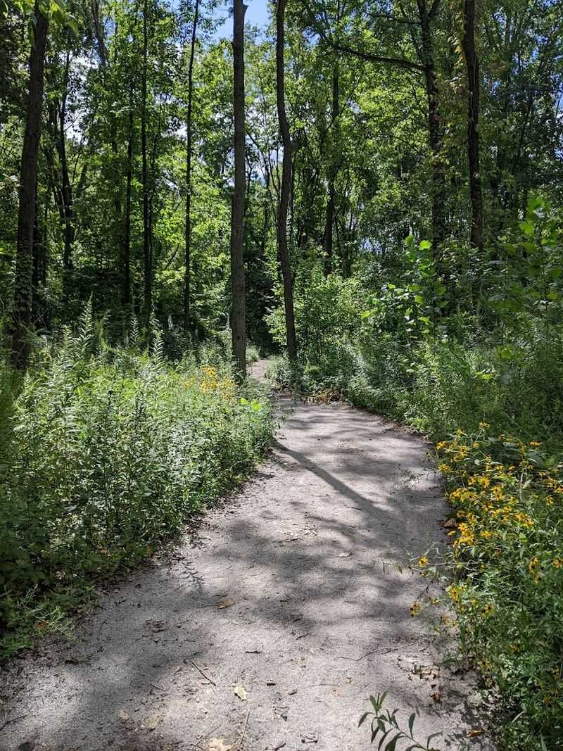 Douglas-Hart Nature Center Loop, Mattoon