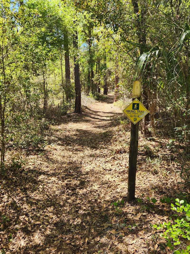 The Dramatic Sinkhole