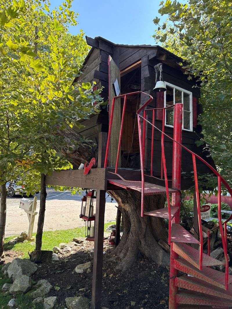 The Tree House Tavern & Bistro