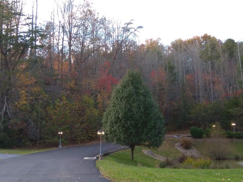 Roll Down The Quiet Backroads Around Town