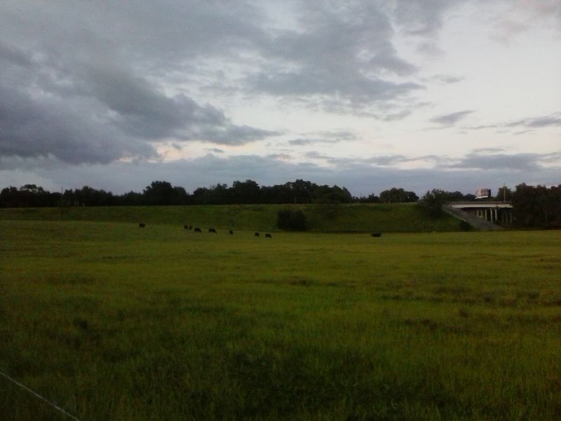 Rolling Acres Road, Lady Lake