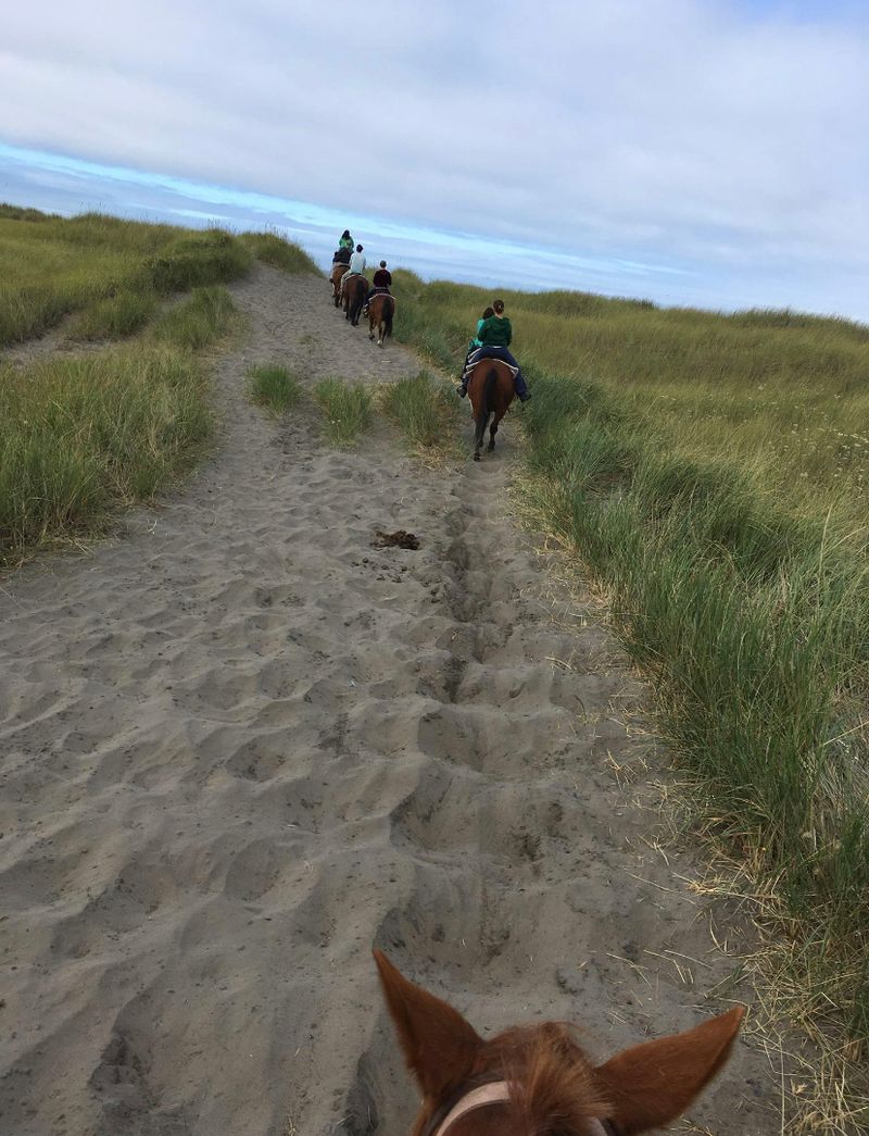 Rolling Over The Grassy Dunes
