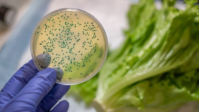 Dole's Deadly Listeria Outbreak (2012)