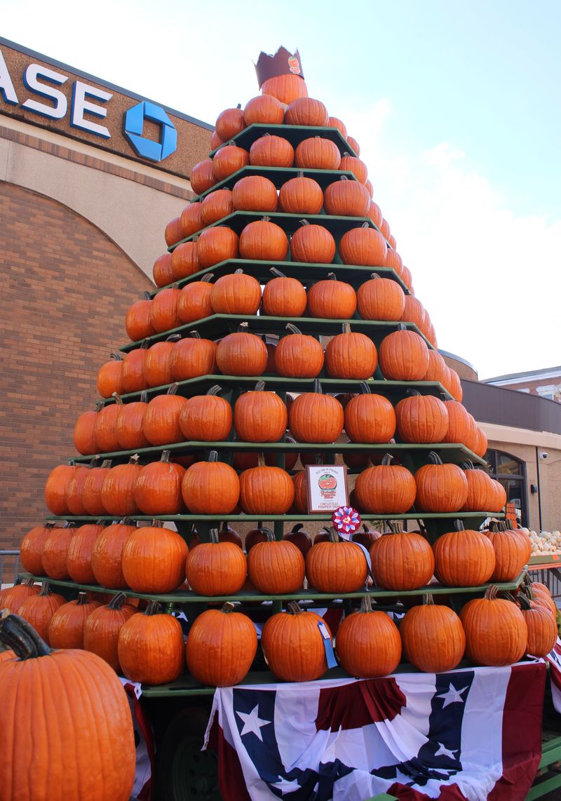 Romulus Pumpkin Festival