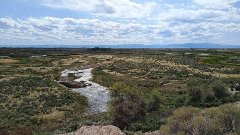 Room For Families, Couples, Solo Visitors, And Road Trippers