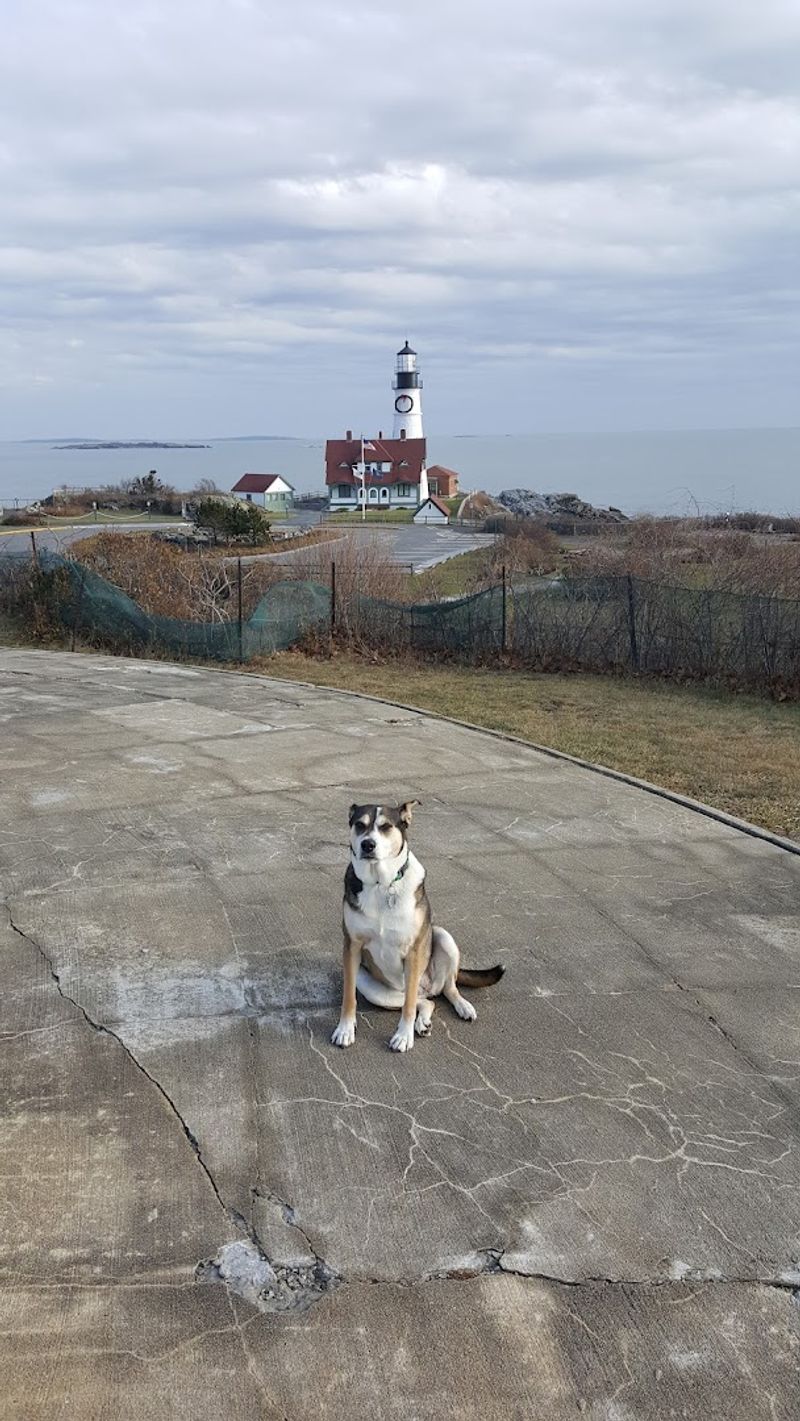 A Park Dogs Love