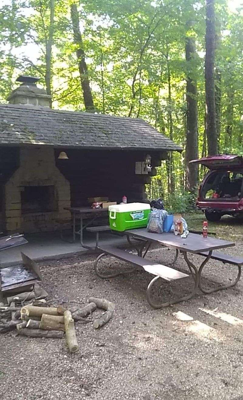 Roomy Primitive Campsites And Shady Picnic Spots