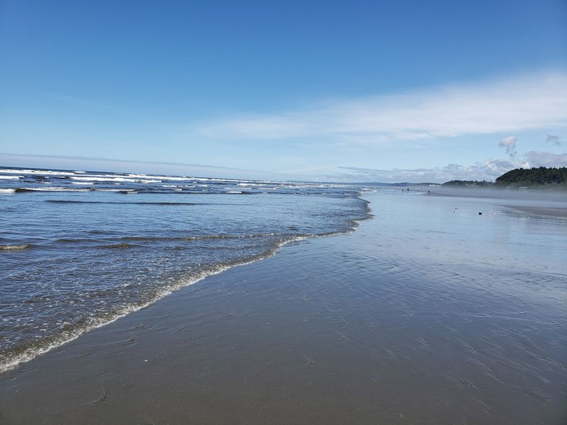Roosevelt Beach, Near Pacific Beach