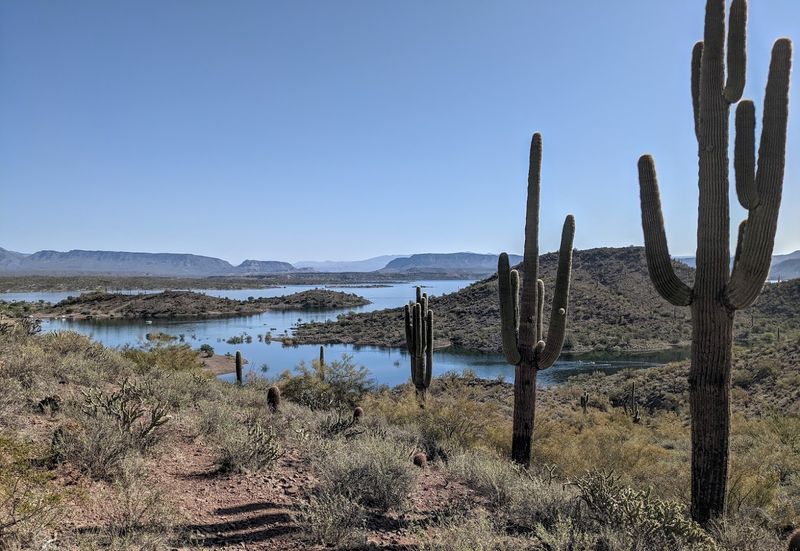 Lake Pleasant