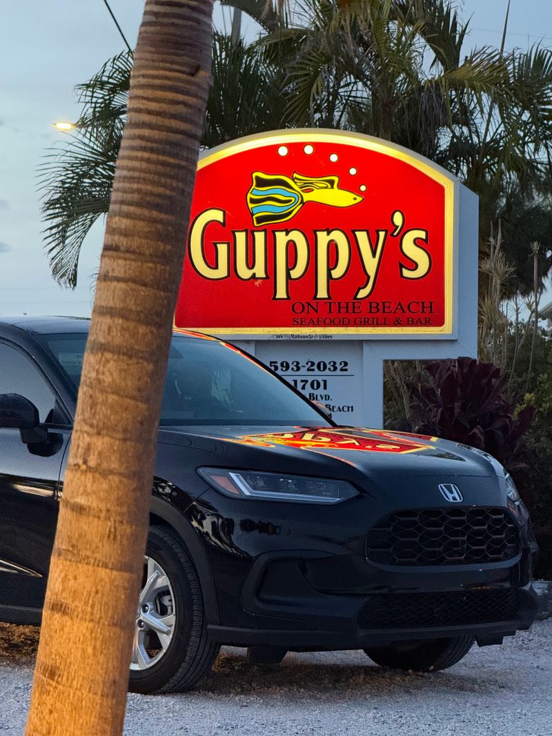 Guppys on the Beach