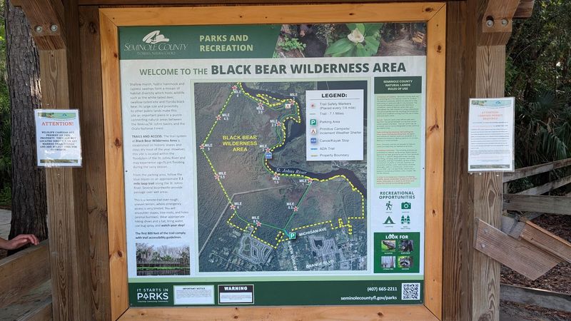 Parking Lot Politics