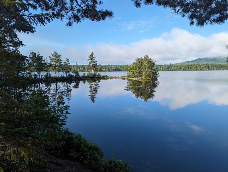 Rooted In Greenville And The Moosehead Lake Region