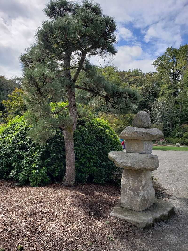 Roots Dating Back To 1927
