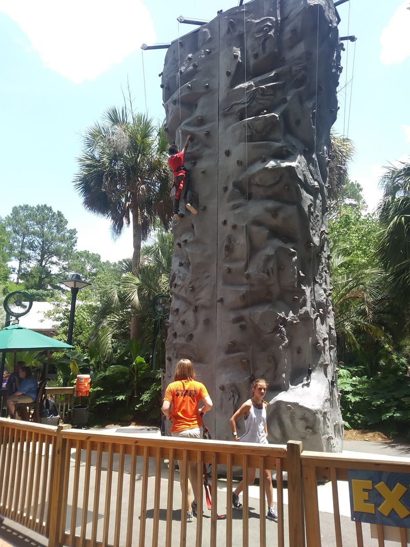 Ropes Courses And A Dinosaur Dig For Restless Energy