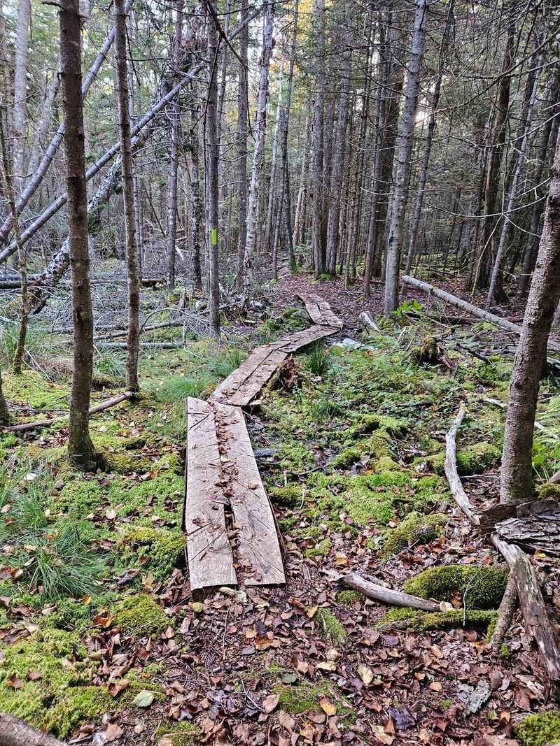 Roque Bluffs, Maine