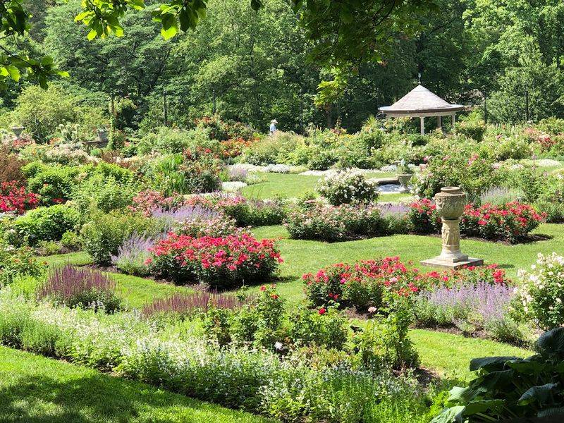 Rose Garden And Japanese Garden Charm Rose Garden And Japanese Garden Charm