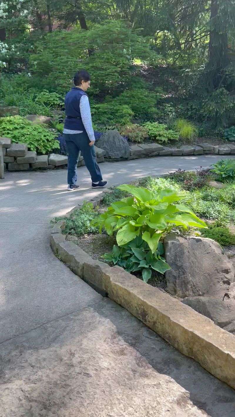 Peaceful Herb Garden With Aromatic Plants