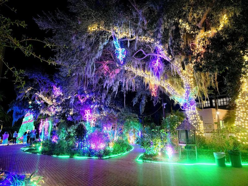 Lights In Bloom That Transforms The Garden After Dark