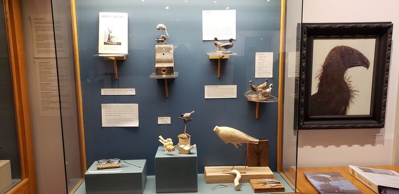 Rotating Exhibits That Keep It Fresh
