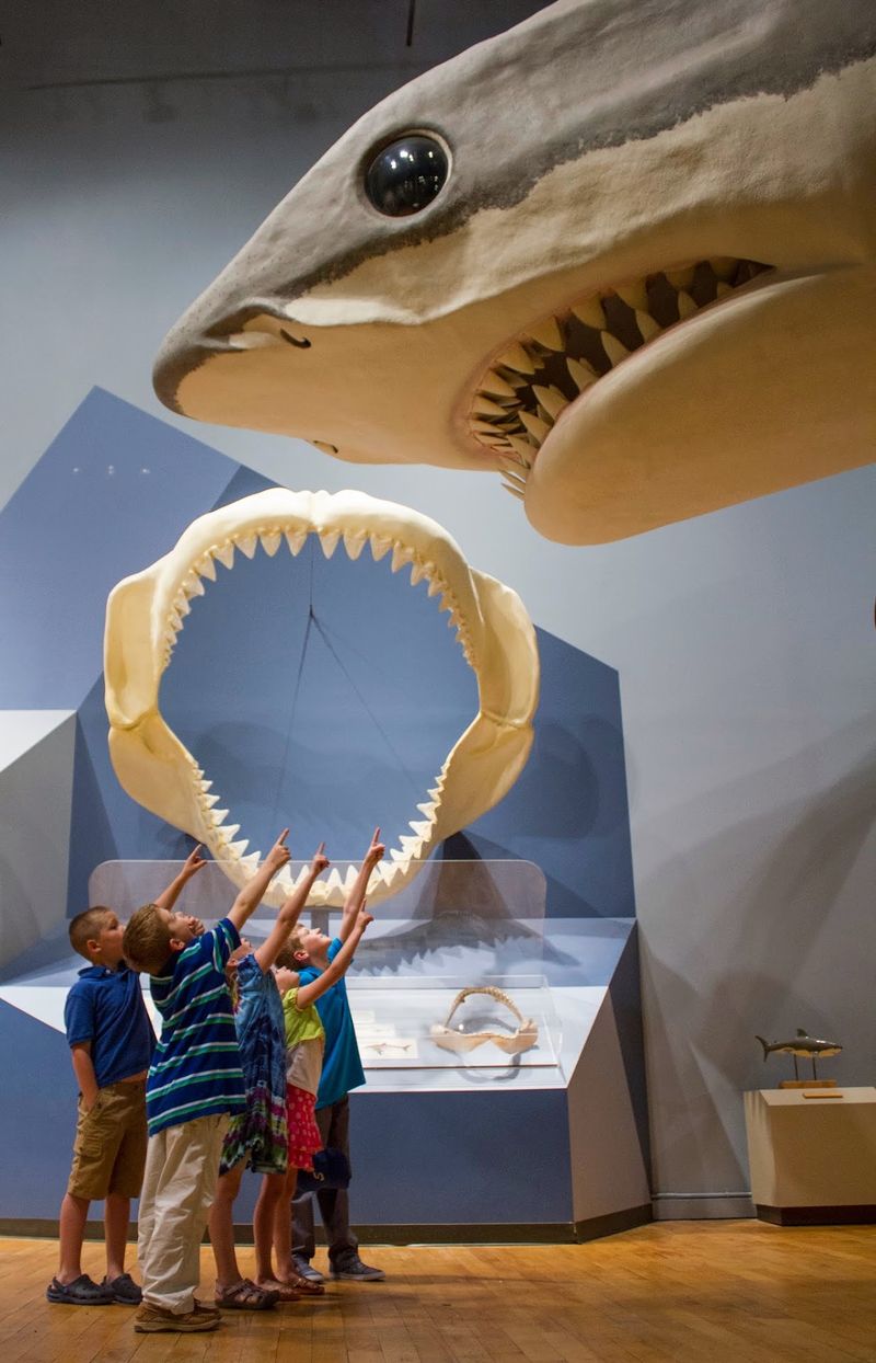 Rotating Special Exhibits That Keep Things Fresh
