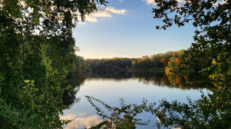 Rothwell Park Is Your New Backyard Rothwell Park Is Your New Backyard