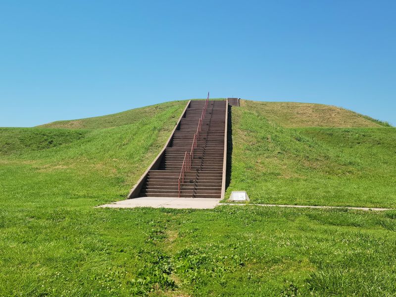 Roughly 150 Steps To The Top Of Monks Mound
