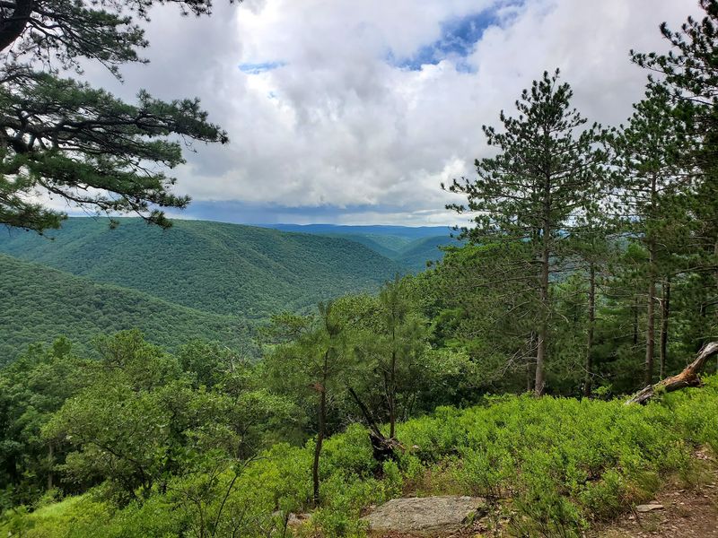 Roughly 200,000 Acres Of Rugged Ridge Country