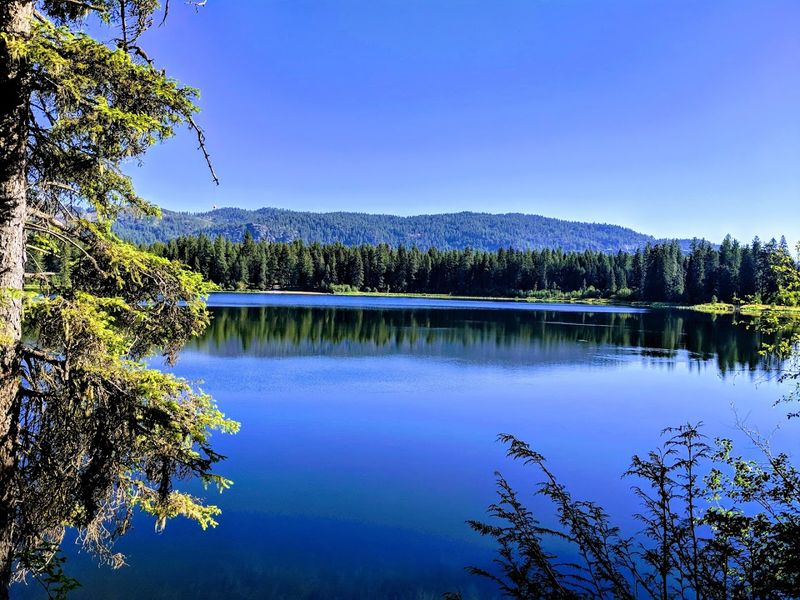 Round Lake State Park, Sagle