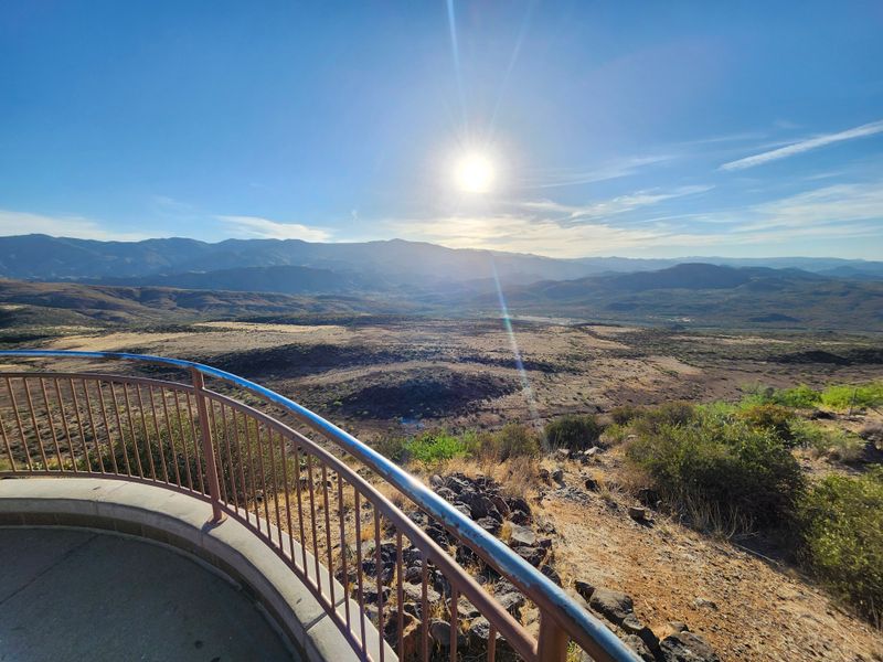 Native Plant Gardens That Teach Desert Ecology
