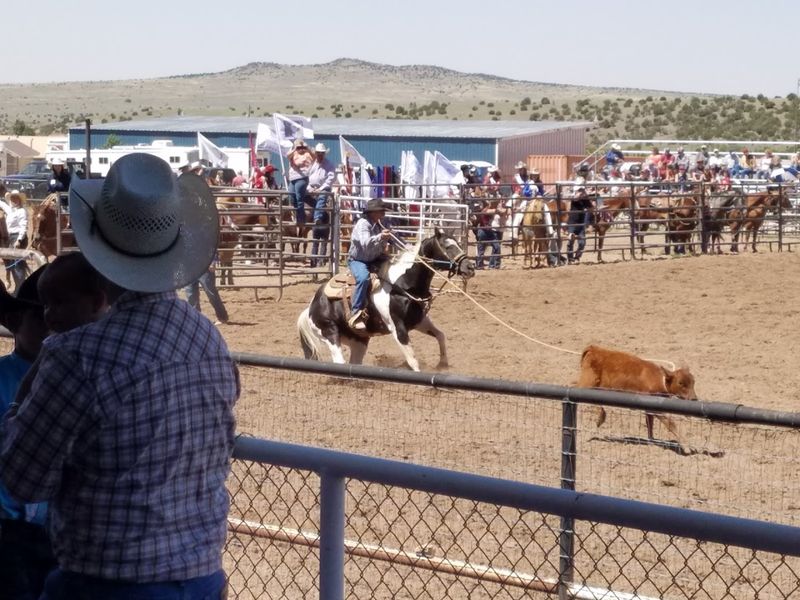 Round Valley Fourth Of July Rodeo