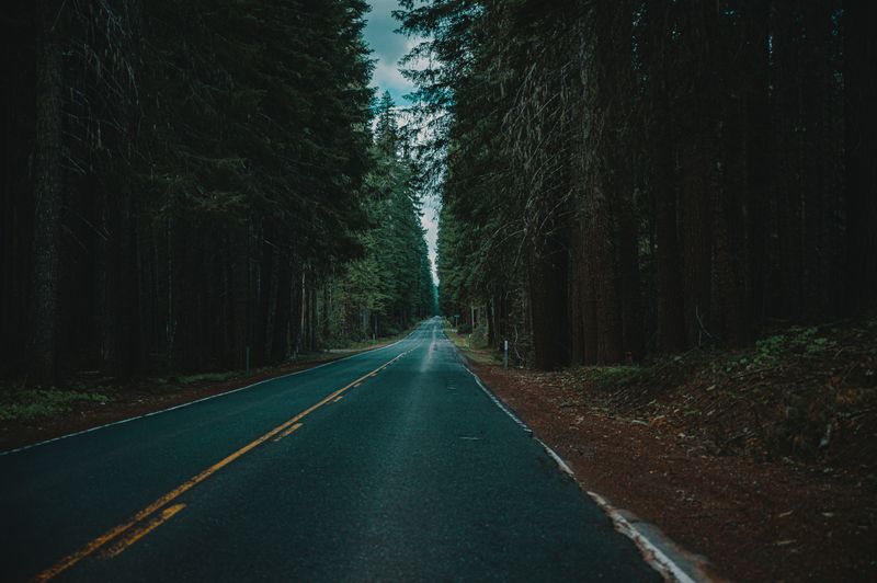 Route 2A / Military Road, Haynesville Woods