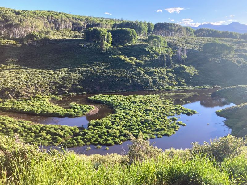 Routt County, Colorado