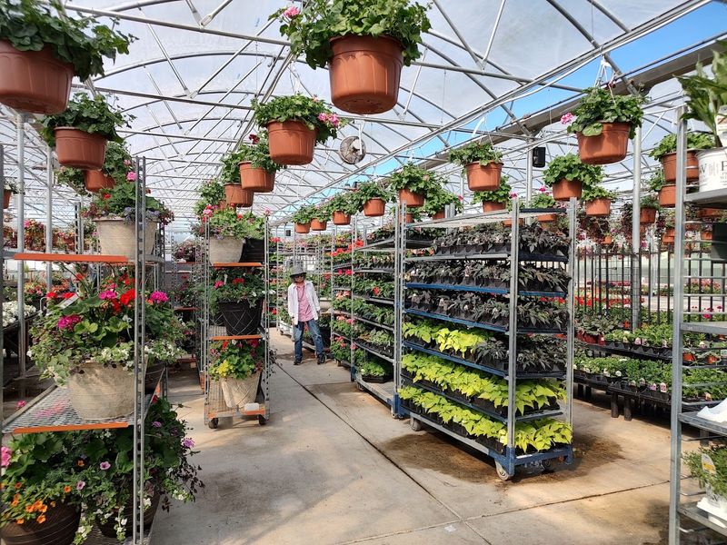 Rows Of Blooms Across Every Season