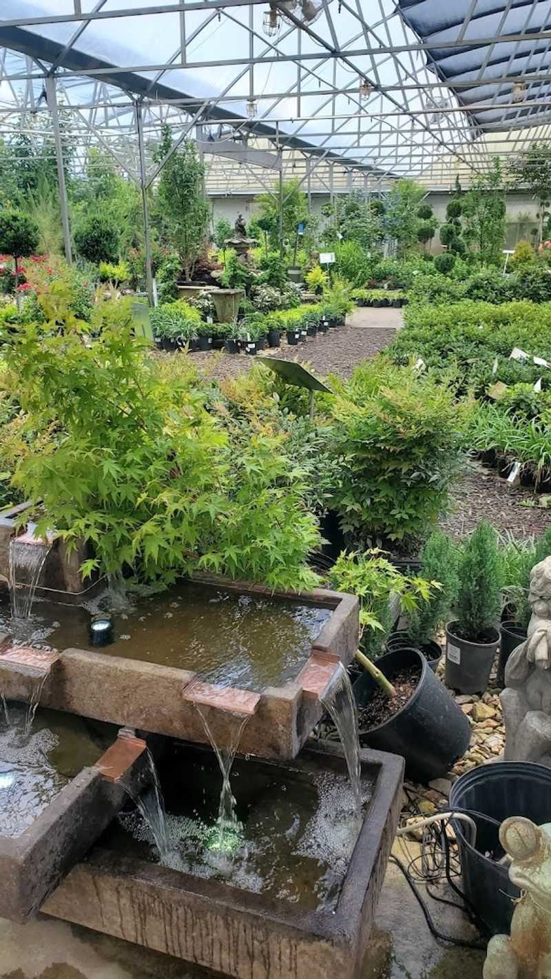 Expansive Outdoor Displays That Feel Like A Living Garden