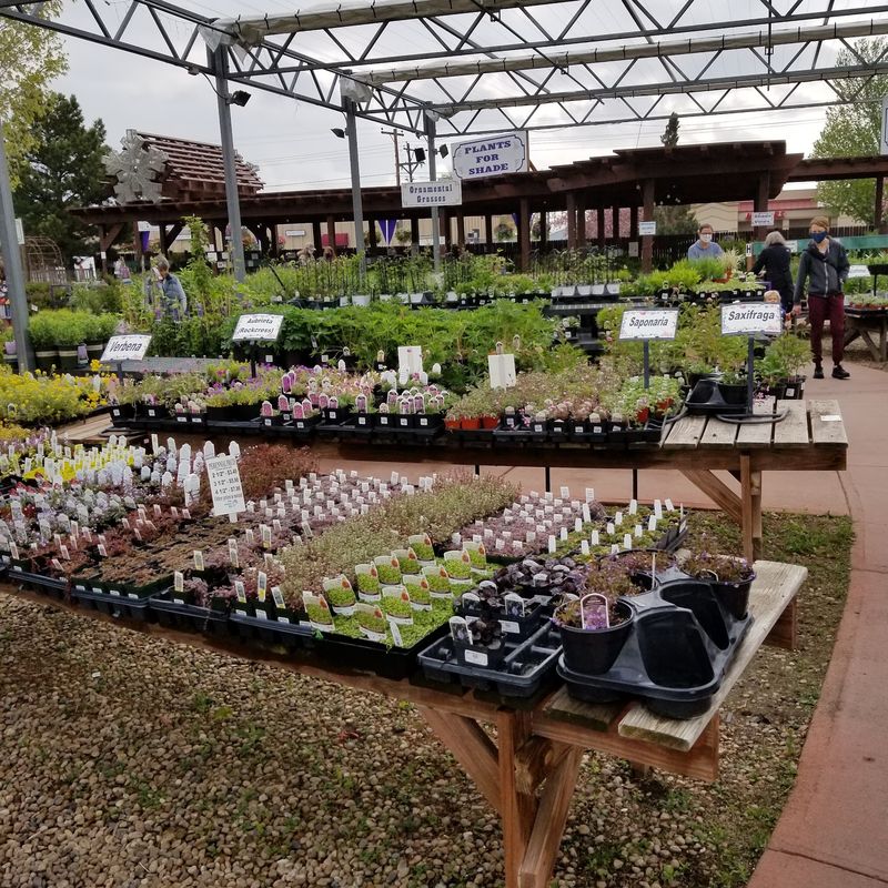 Rows Of Plants Make The Layout Easy To Understand