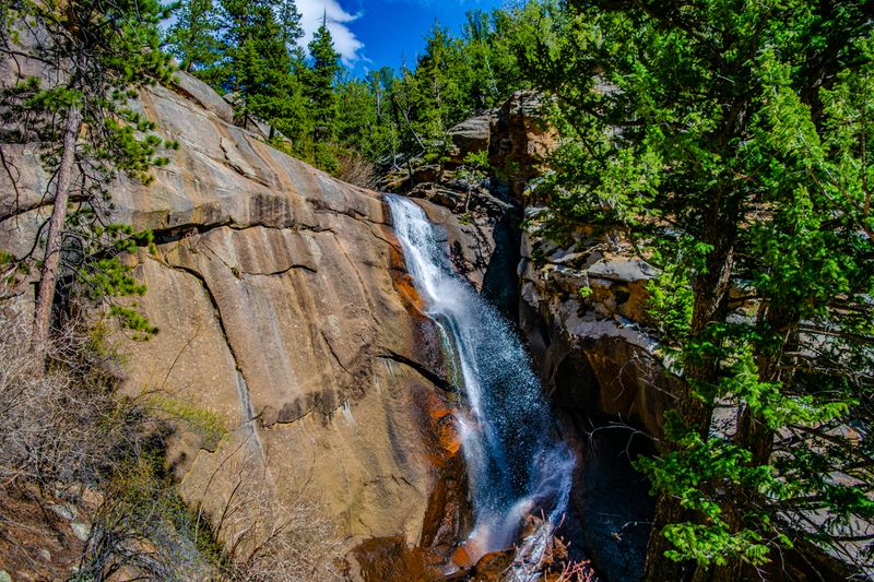 Staunton State Park, Pine