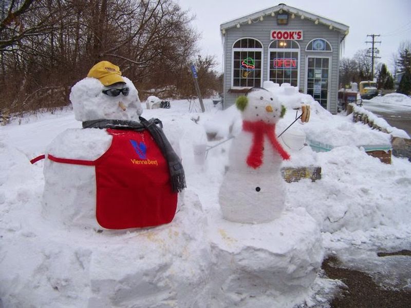 Cook's Drive-In — Dutton, MI