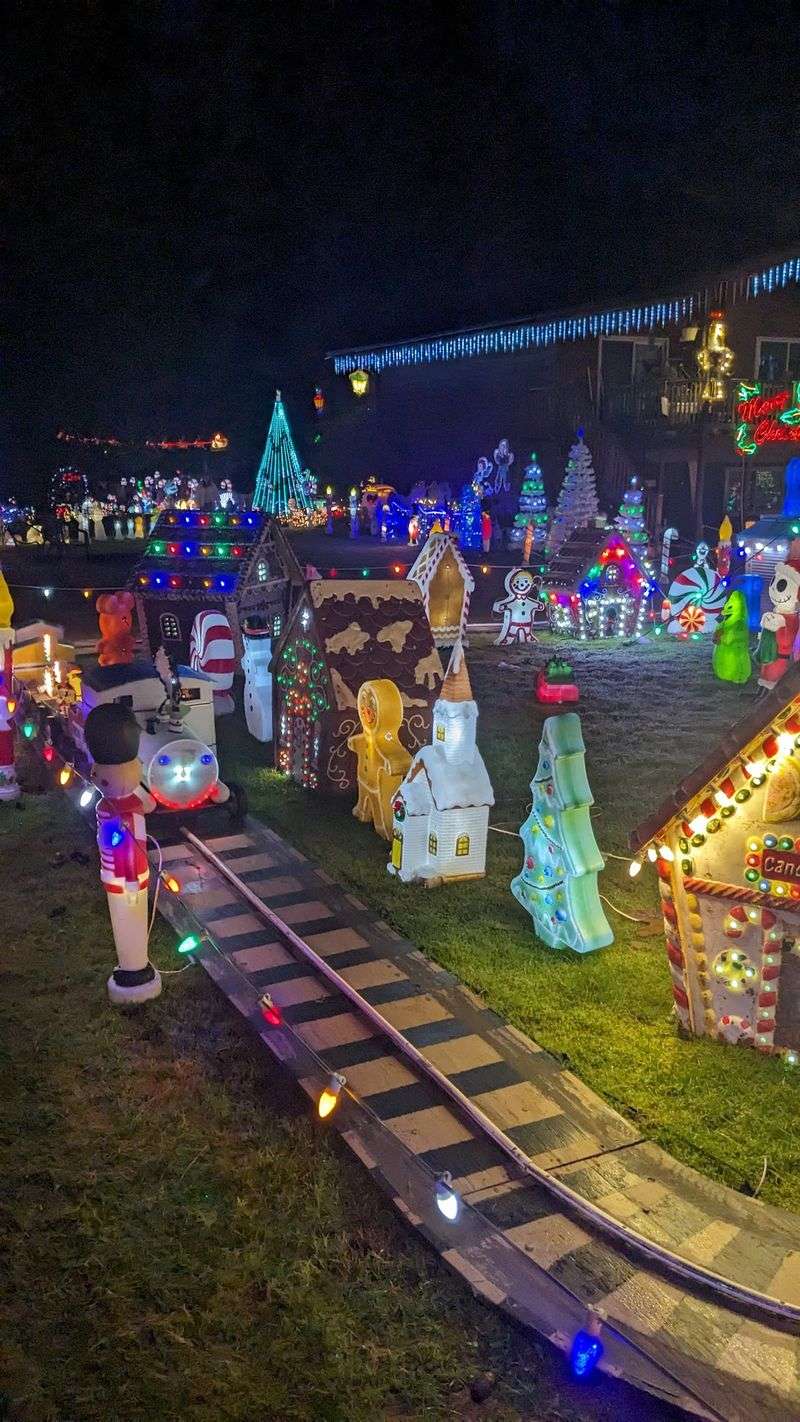 Royalwood Christmas Light Display, Port Orchard, WA