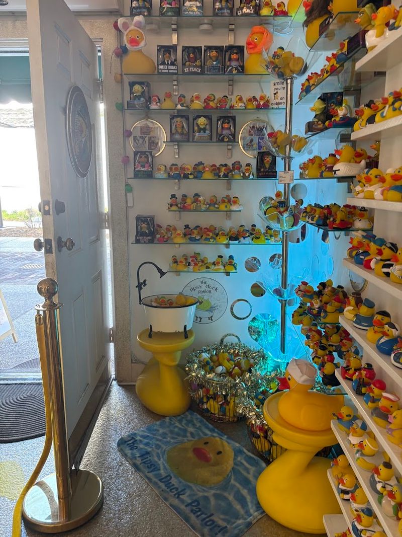 Rubber Ducks Are Everywhere And That Is Entirely The Point