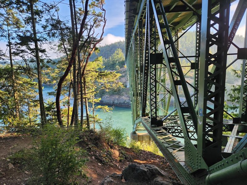 Planning Your Visit To Washington's Most Popular Park