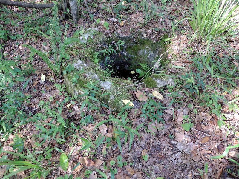 Ruins Hiding Under The Undergrowth