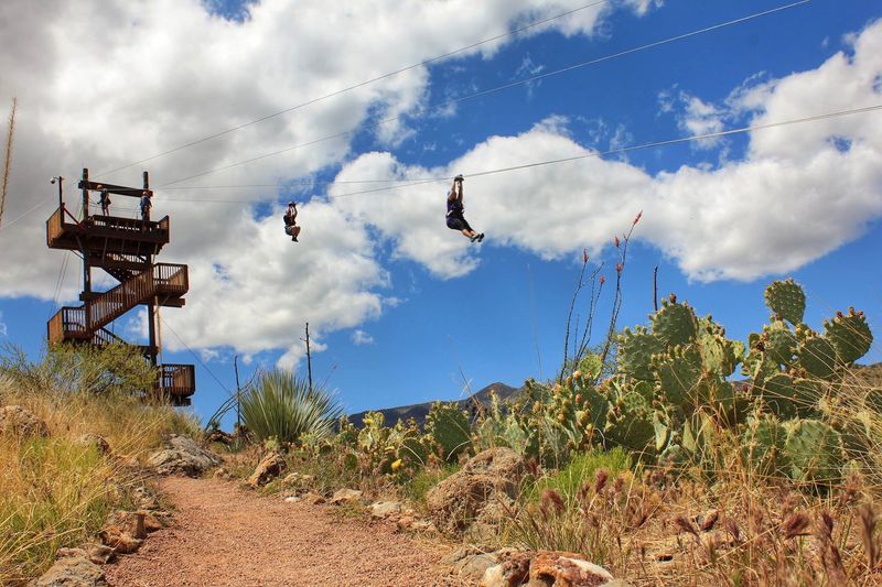 Rules For Riding The High Flyer