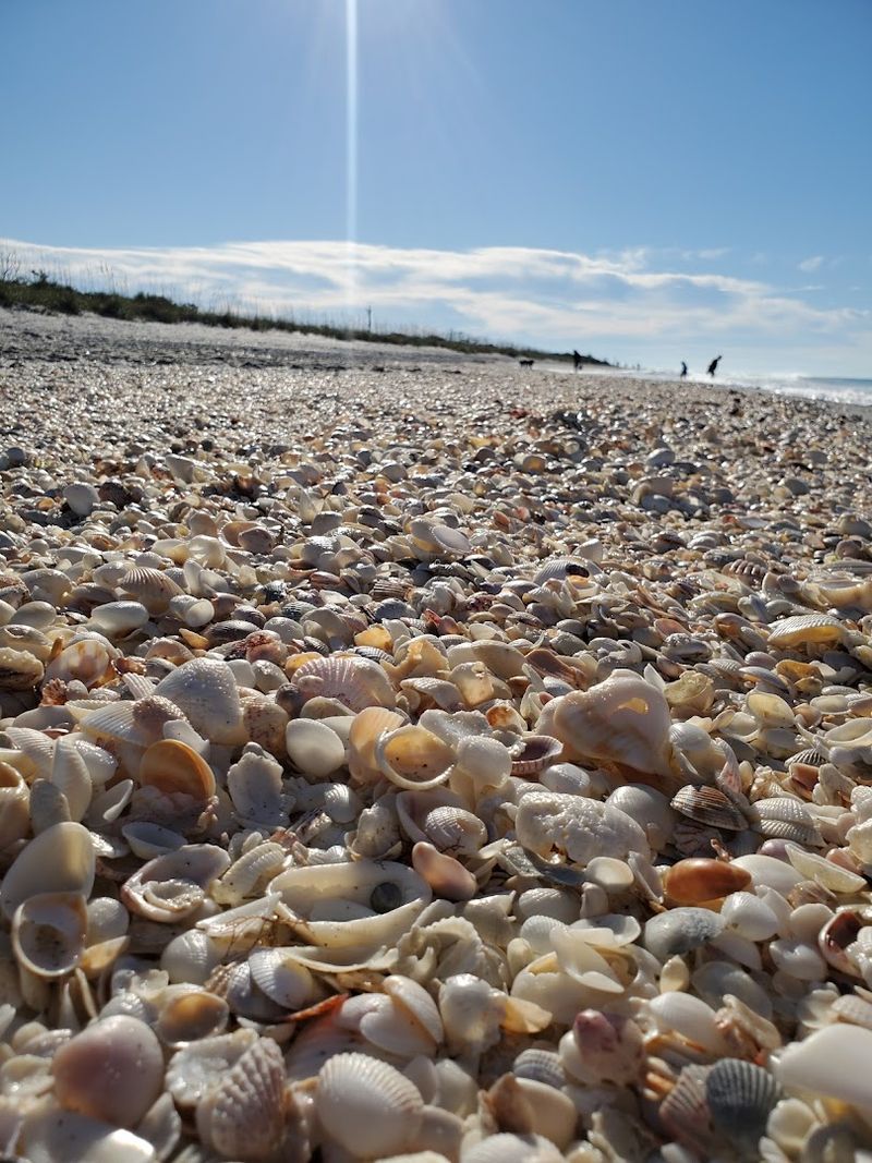 What Else To Explore At The Park