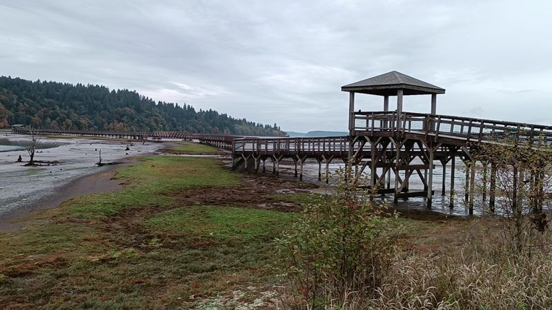 Rules That Protect The Wild Rules That Protect The Wild