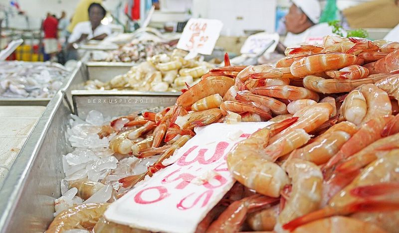 Is This Grouper Real Grouper