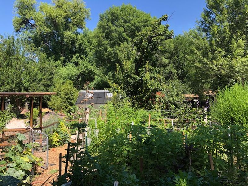 Wild Heart Farm, Rimrock