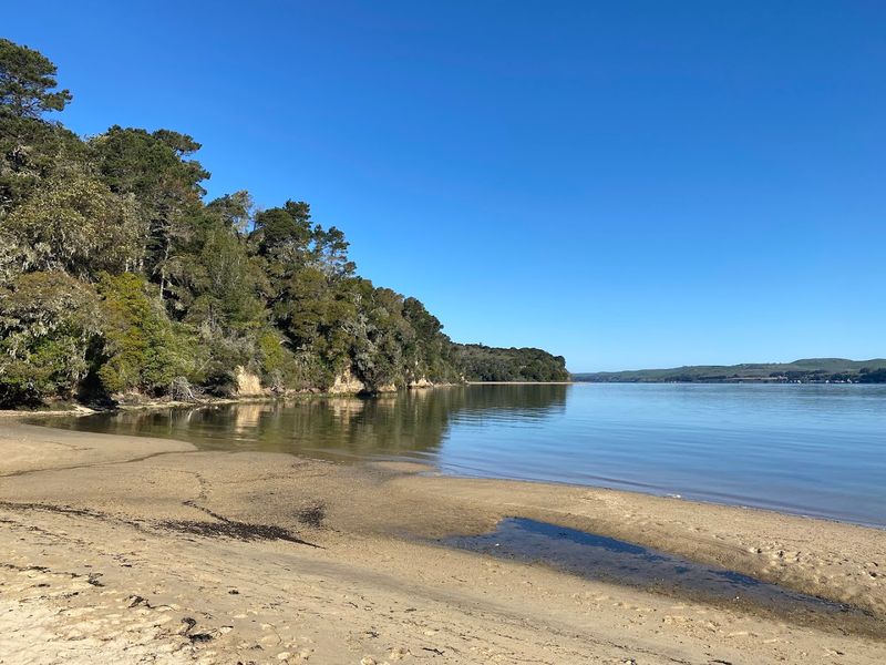 Tomales Bay State Park